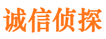 南江侦探公司